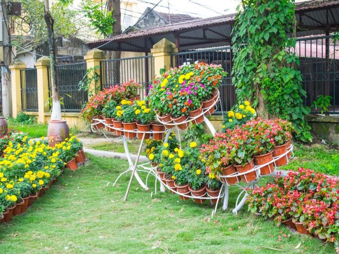 4 Tips Membuat Taman Bunga di Rumah  Nurraysa